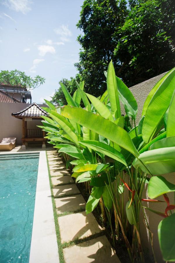Bed and Breakfast Donguri House Bali Jimbaran Exteriér fotografie